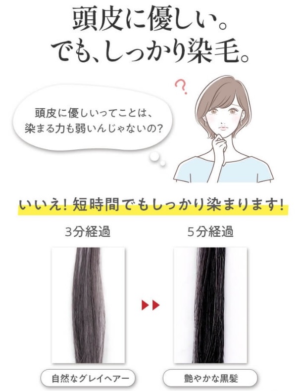 頭皮に優しい。でも、しかり染毛。